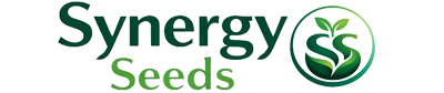 مامایی – SynergySeeds