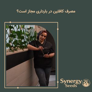https://synergyseeds.ir/