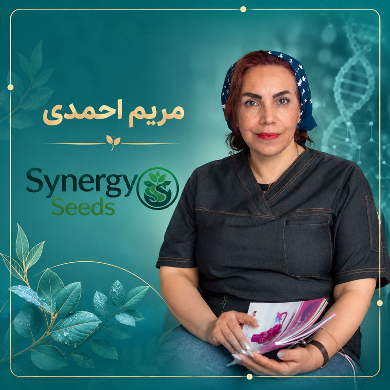 بذر های هم افزایی synergyseeds مامایی مریم احمدی