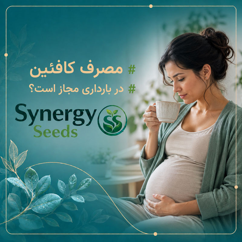 مصرف کافئین در بارداری مجاز است؟