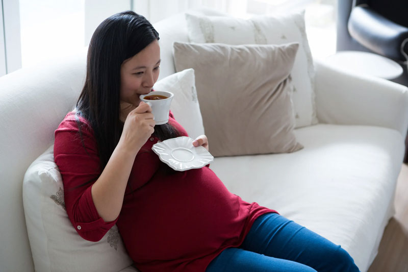 Caffeine During Pregnancy مصرف کافئین در بارداری مجاز است؟ synergyseeds سینرژیک سید