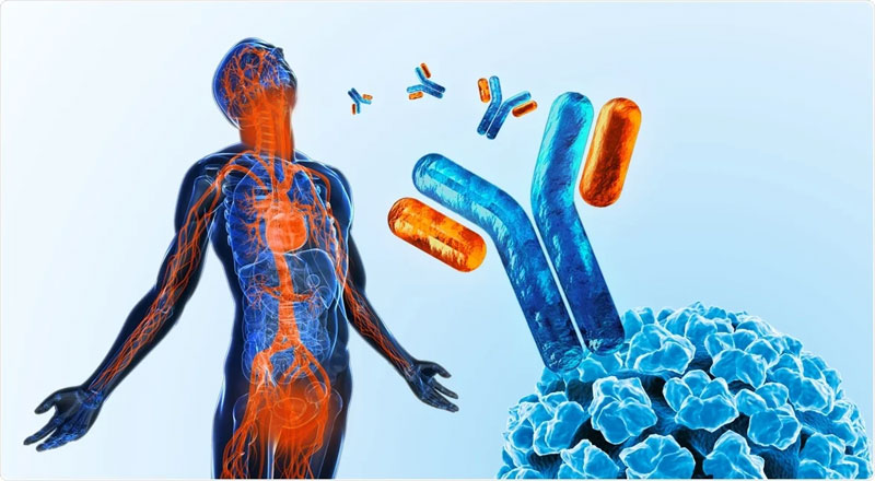 HPV and related cancers ویروس HPV و سرطان های مرتبط سینرژیک سید synergyseeds