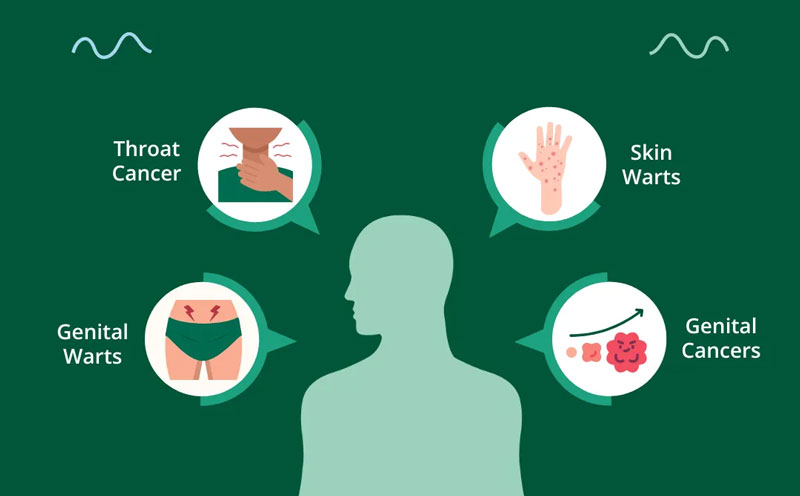 HPV and related cancers ویروس HPV و سرطان های مرتبط سینرژیک سید synergyseeds