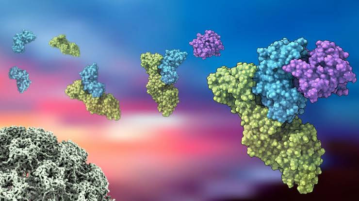 Molecular mechanisms of HPV مکانیسمهای مولکولی HPV سینرژیک سید synergyseeds