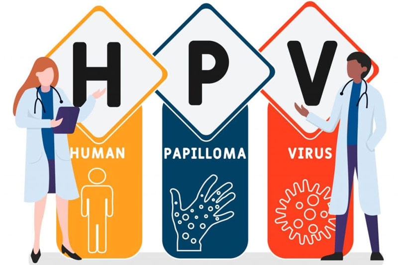عوامل خطر مرتبط با عفونت HPV Risk factors associated with HPV infection سینرژیک سید synergyseeds