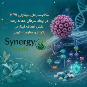 مکانیسم‌های مولکولی HPV در ایجاد سرطان دهانه رحم: نقش اهداف کیناز در پاتوژنز و مقاومت دارویی
