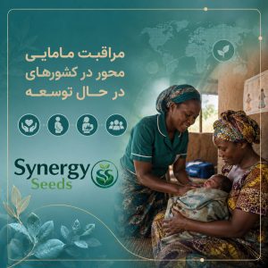 developing countries مراقبت مامایی ‌محور در کشورهای در حال توسعه سینرژیک سید synergyseeds