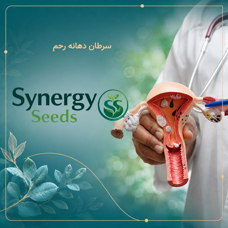 Cervical cancer سرطان دهانه رحم سینرژیک سید synergyseeds