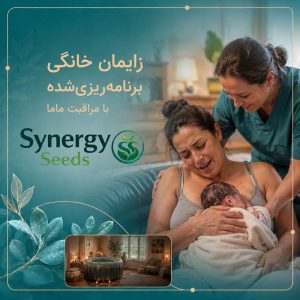 زایمان خانگی برنامه ‌ریزی ‌شده با مراقبت ماما synergyseeds Home birth سینرژیک سید synergyseeds