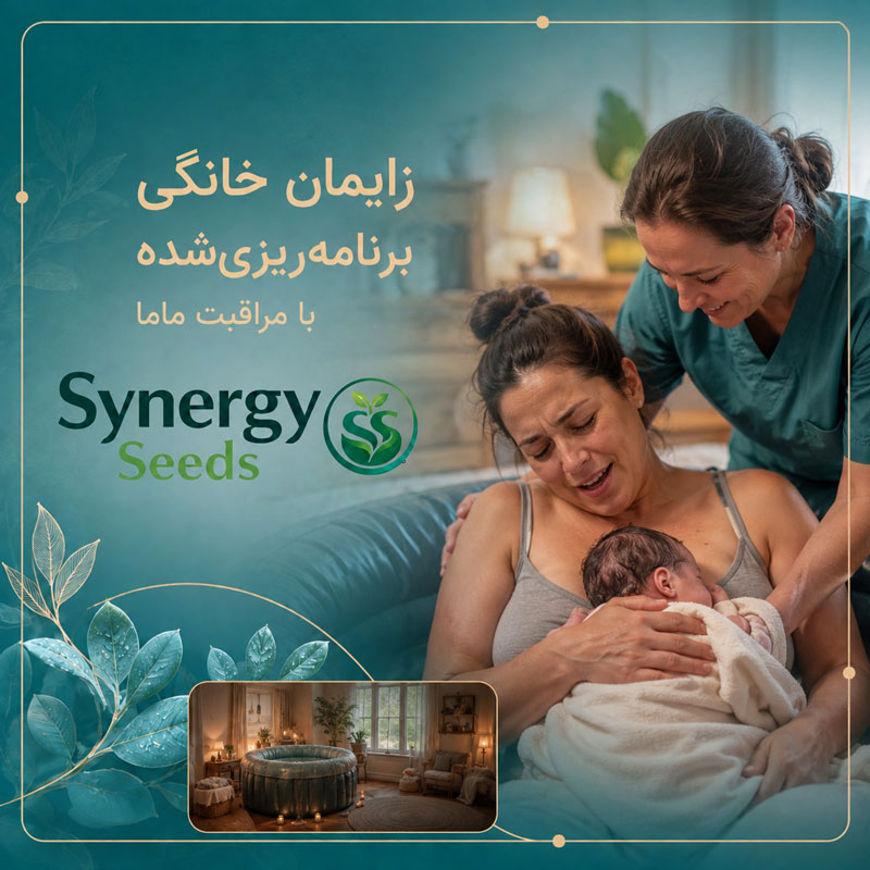 زایمان خانگی برنامه ریزی شده با مراقبت ماما synergyseeds Home birth سینرژیک سید synergyseeds