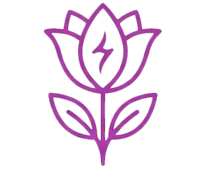 سینرژیک سید synergyseeds