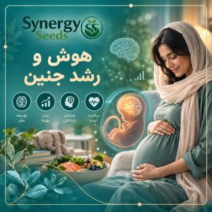 دپارتمان بارداری Pregnancy Department سینرژیک سید synergyseeds هوش و رشد جنین Fetal Intelligence and Development