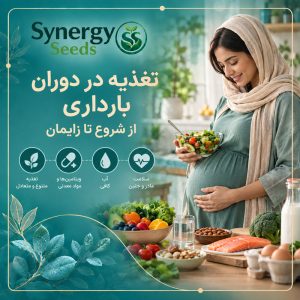 تغذیه در دوران بارداری از شروع تا زایمان دپارتمان بارداری Pregnancy Department سینرژیک سید synergyseeds